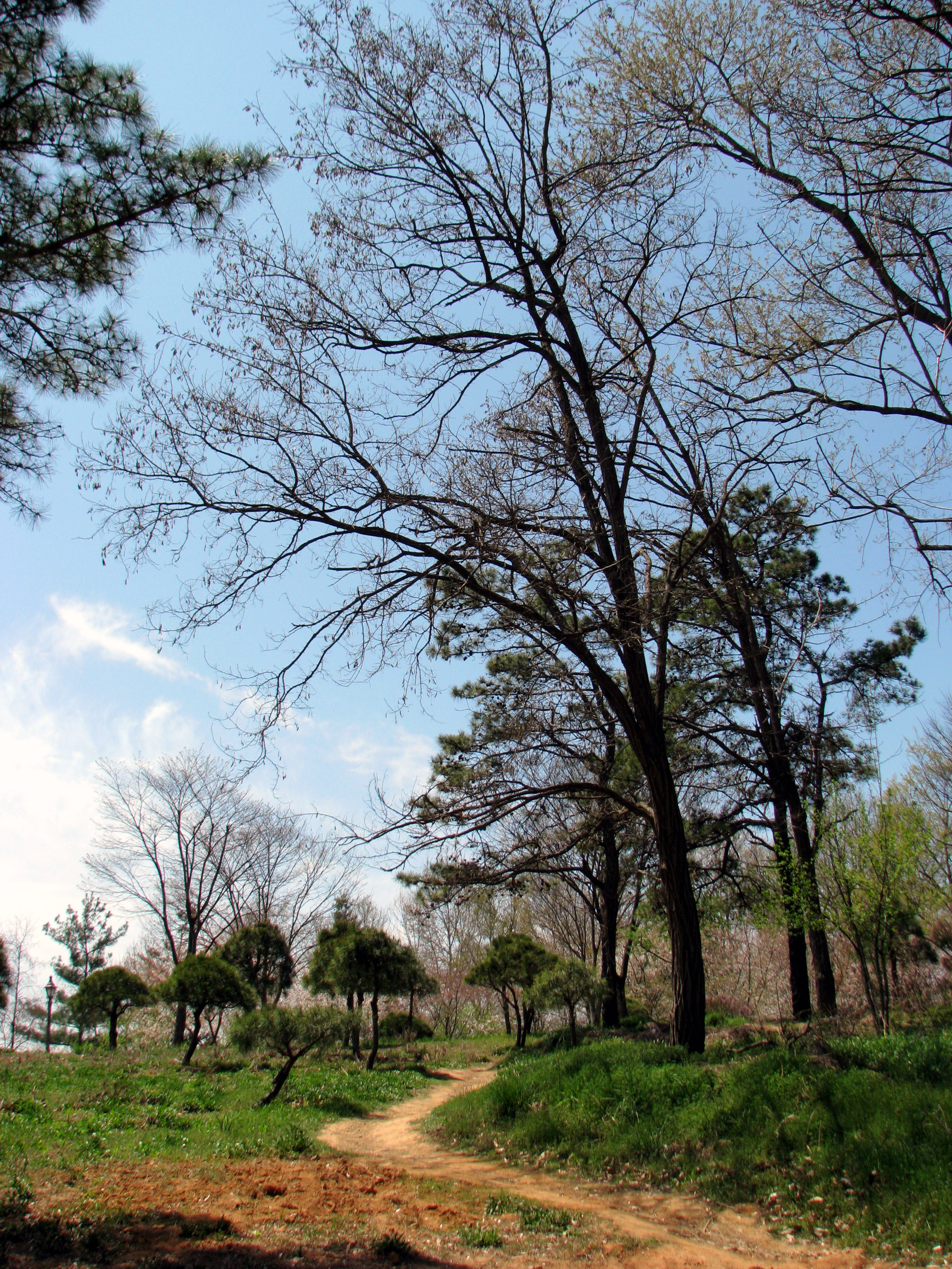 유토다이스동산